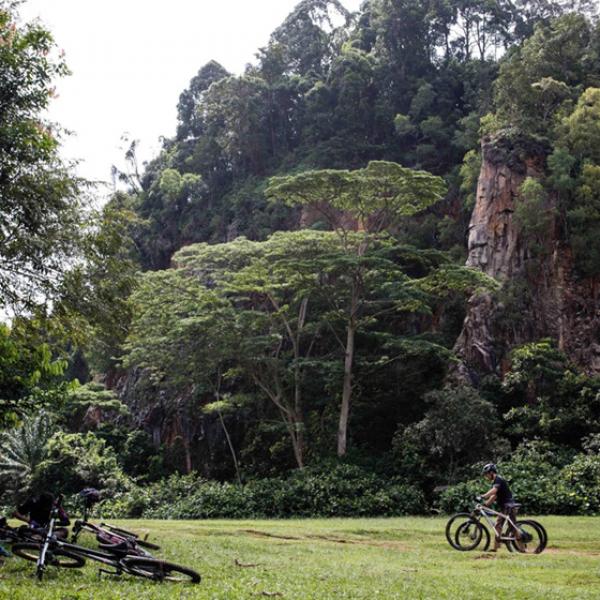 Bukit Timah MTB Trail