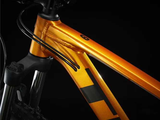 Marlin6_22_35066_C_Alt3