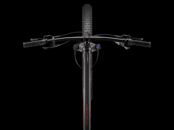 Roscoe6_21_33192_A_Alt9