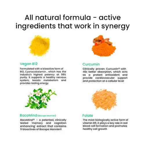 websiteb12-allnatural_1024x1024_2x_90a27523-e6dc-4c83-b283-a596e102aacb